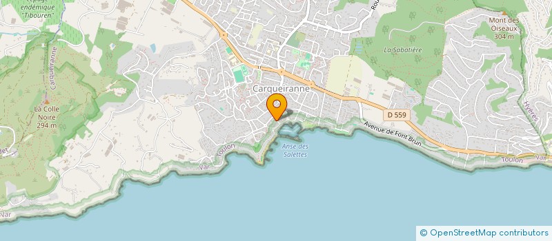 localisation de l'entreprise LES ANEMONES  CARQUEIRANNE
