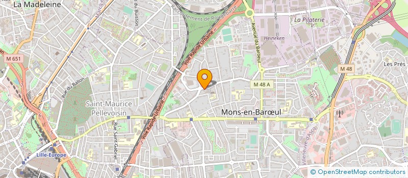 localisation de l'entreprise LES ANGES DU TEXAS  MONS-EN-BARUL