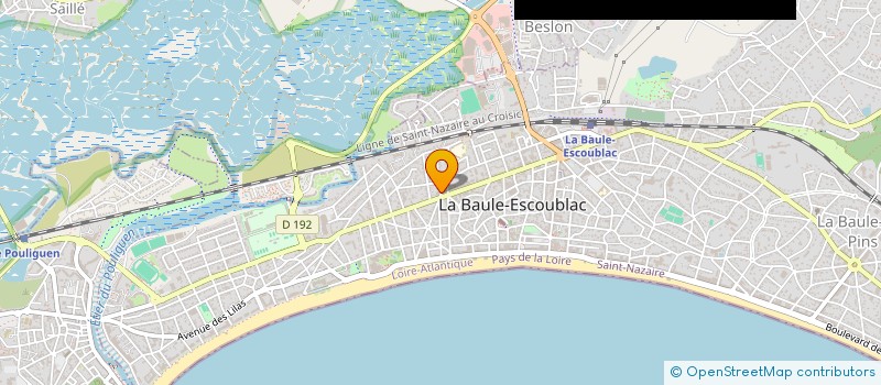 localisation de l'entreprise LES ANNEES BASKET à LA BAULE-ESCOUBLAC