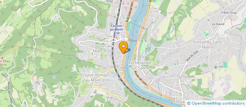 localisation de l'entreprise LES APPARTS  COUZON-AU-MONT-D'OR