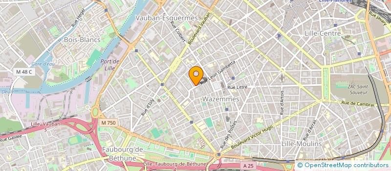 localisation de l'entreprise LES ARAIGNEES DU SOIR à LILLE