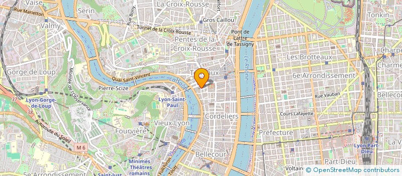 localisation de l'entreprise LES ARPENTEURS à LYON