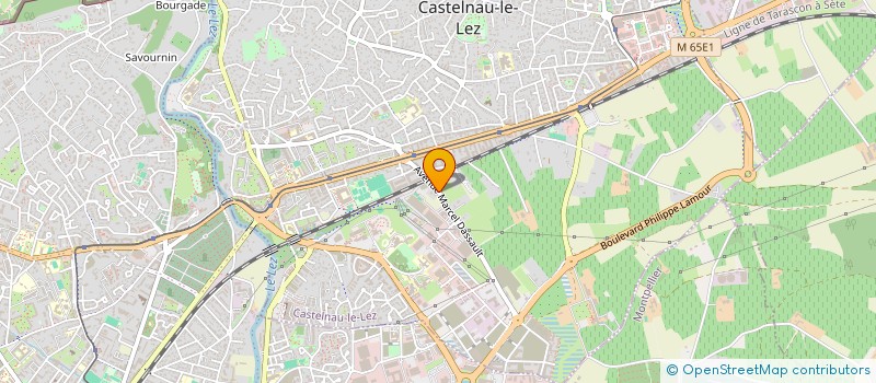 localisation de l'entreprise LES ARTISTES DE LA BOCA à CASTELNAU-LE-LEZ
