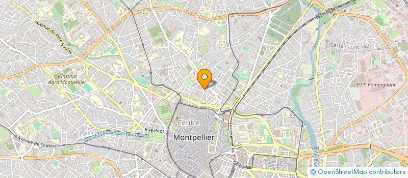 localisation de l'entreprise LES ARTS VERTS à MONTPELLIER
