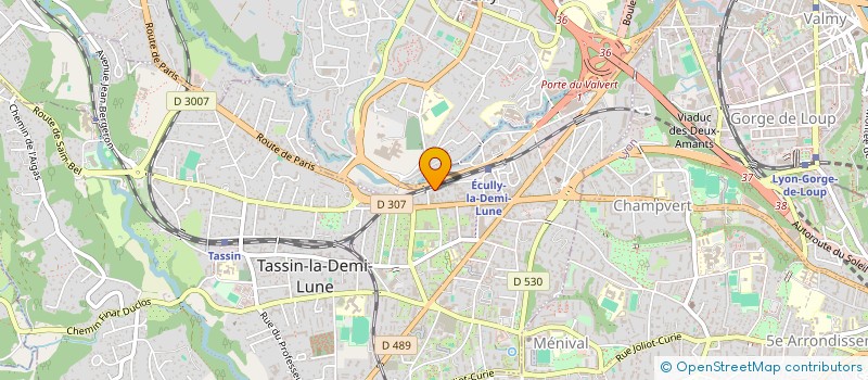 localisation de l'entreprise LES ATELIERS COULEURS  TASSIN-LA-DEMI-LUNE