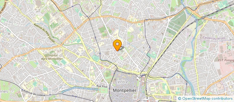 localisation de l'entreprise LES ATELIERS LIBRES à MONTPELLIER