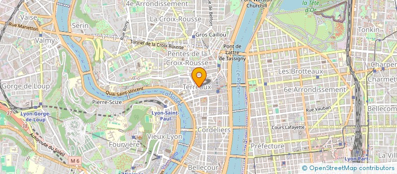 localisation de l'entreprise LES ATELIERS TERREAUX à LYON