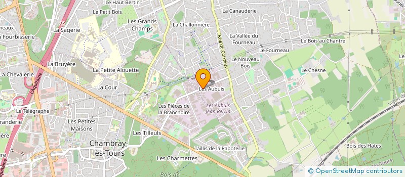 localisation de l'entreprise LES AUBUIS  SAINT-AVERTIN