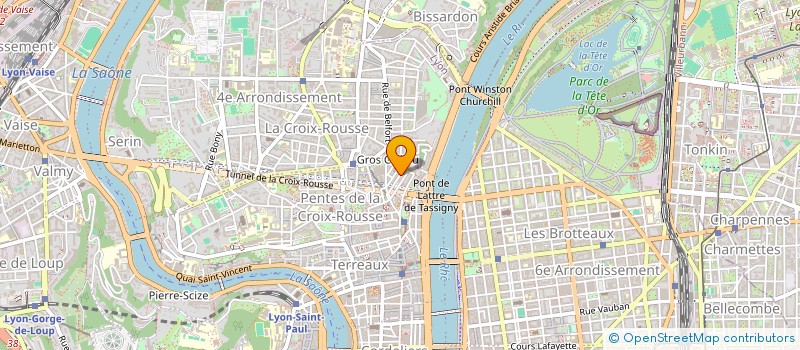 localisation de l'entreprise LES AUTRES VOIX DE LA PLANETE à LYON