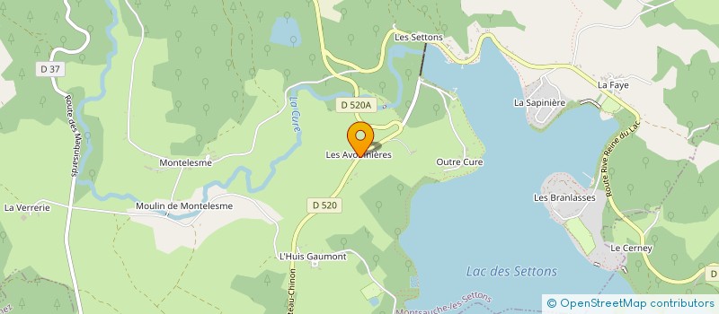 localisation de l'entreprise LES AVOINIERES à MONTSAUCHE LES SETTONS