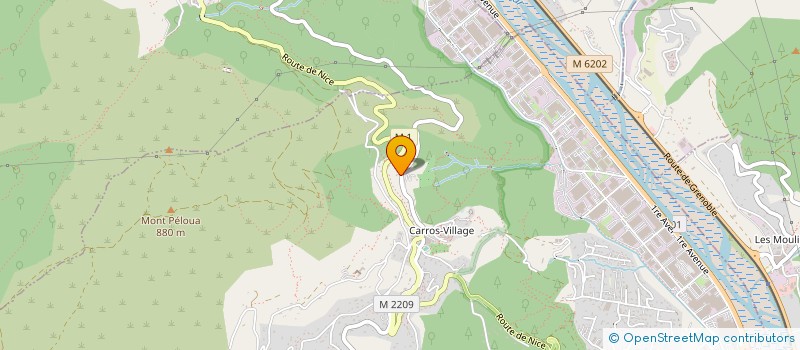 localisation de l'entreprise LES AYEUX à CARROS