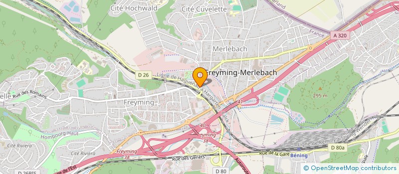 localisation de l'entreprise LES BAGUETTES D OR  FREYMING-MERLEBACH