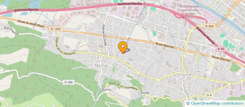 localisation de l'entreprise LES BALCONS DE LA SALETTE  MARNAZ
