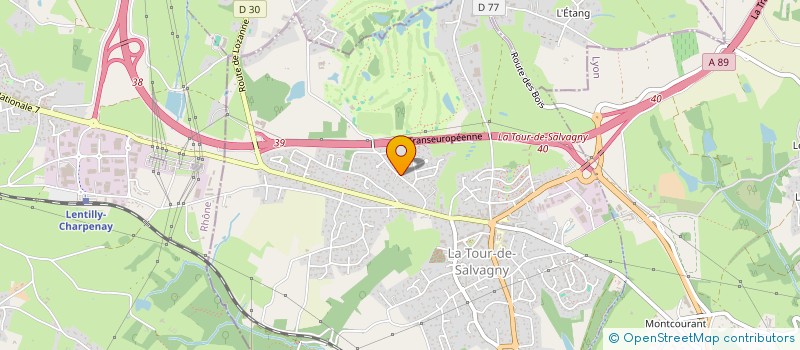 localisation de l'entreprise LES BALCONS DU ROCHER  LA TOUR-DE-SALVAGNY