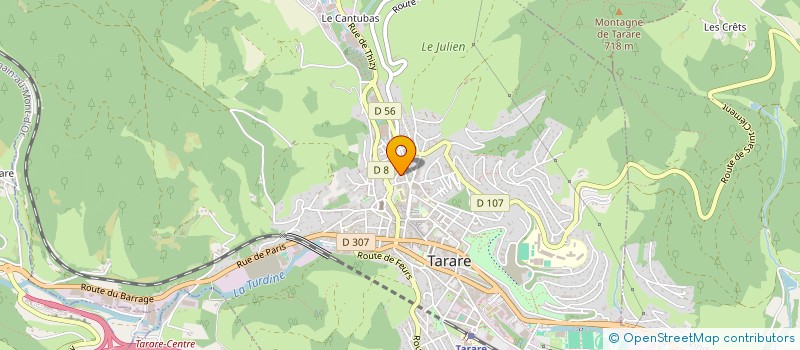 localisation de l'entreprise LES BAMBINS à TARARE