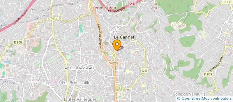 localisation de l'entreprise LES BAMBOUS à LE CANNET