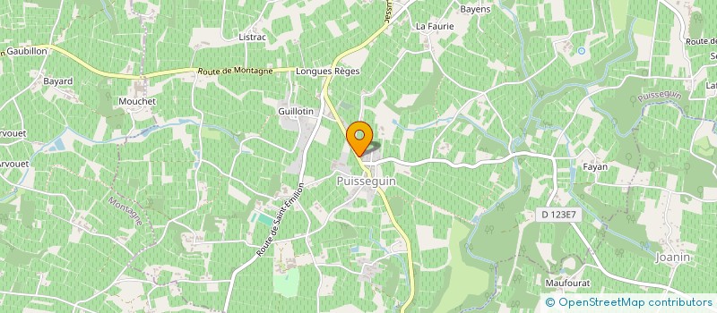 localisation de l'entreprise LES BAROUDEURS DE PUISSEGUIN  PUISSEGUIN