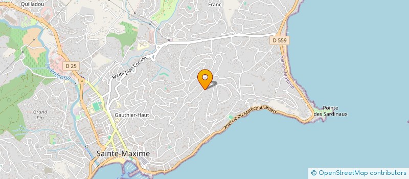 localisation de l'entreprise LES BARTAVELLES  SAINTE-MAXIME