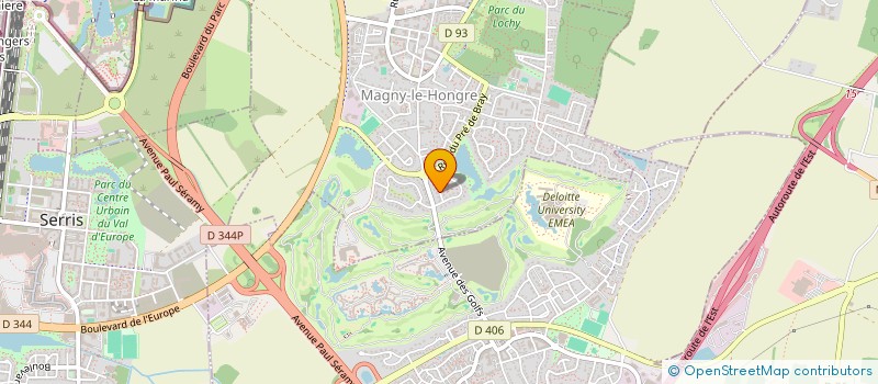 localisation de l'entreprise LES BELLES FLEURS  MAGNY-LE-HONGRE