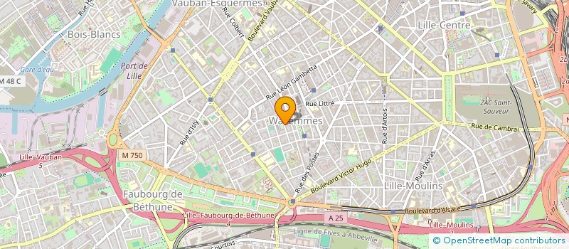 localisation de l'entreprise LES BELLES LURETTES à LILLE
