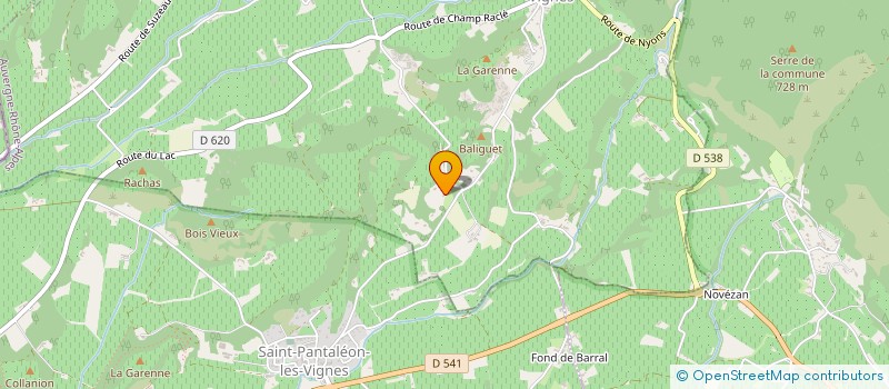 localisation de l'entreprise LES BELLES NYONSAISES  ROUSSET-LES-VIGNES