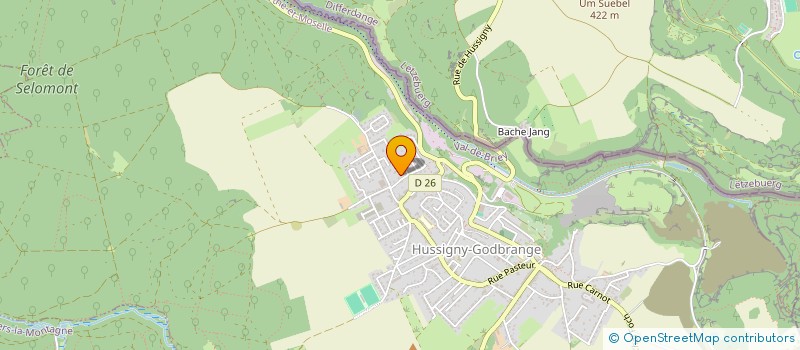 localisation de l'entreprise LES BENEVOLES DU TEMPS PARTAGE  HUSSIGNY-GODBRANGE