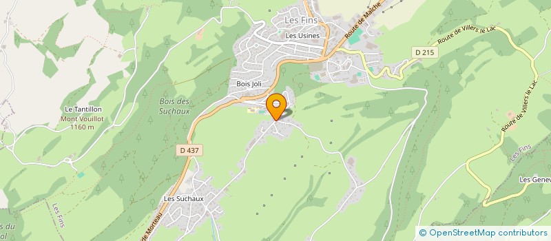 localisation de l'entreprise LES BERGERONNETTES  LES FINS