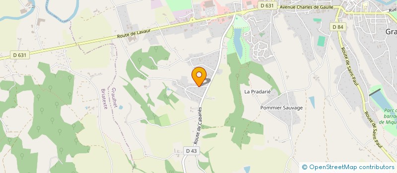 localisation de l'entreprise LES BIENS DELI  GRAULHET