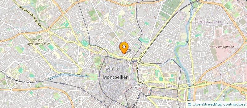 localisation de l'entreprise LES BIENVEILLANCES D'AMEDEE à MONTPELLIER