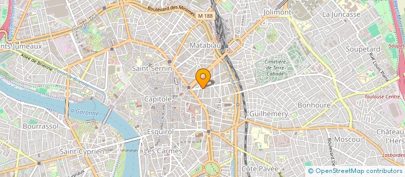 localisation de l'entreprise LES BINOCLES TOULOUSAINES à TOULOUSE