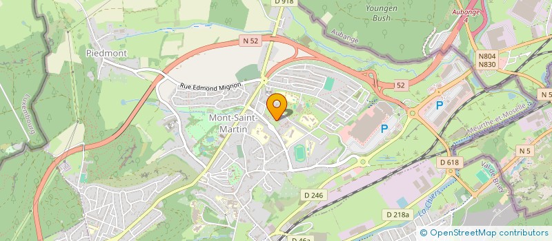 localisation de l'entreprise LES BLEUETS  MONT-SAINT-MARTIN