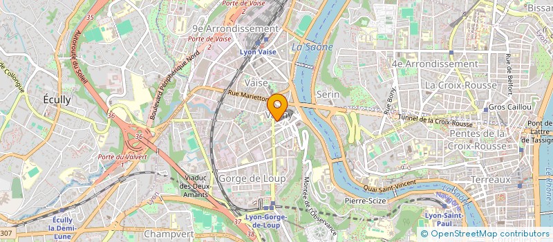 localisation de l'entreprise LES BLEUETS  LYON