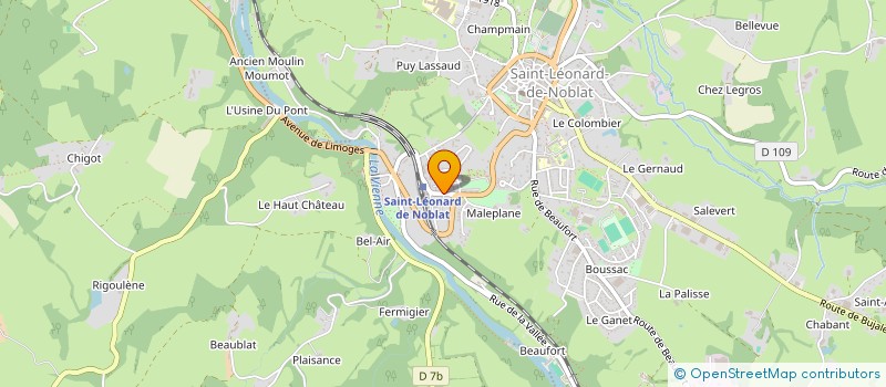localisation de l'entreprise LES BLEUETS à SAINT-LEONARD-DE-NOBLAT