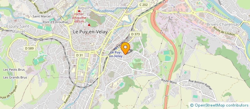 localisation de l'entreprise LES BLEUETS  LE PUY-EN-VELAY