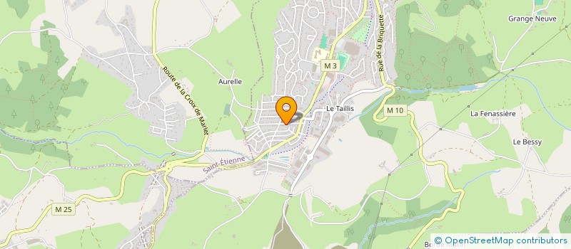 localisation de l'entreprise LES BLEUETS DE BEAULIEU  ROCHE-LA-MOLIERE