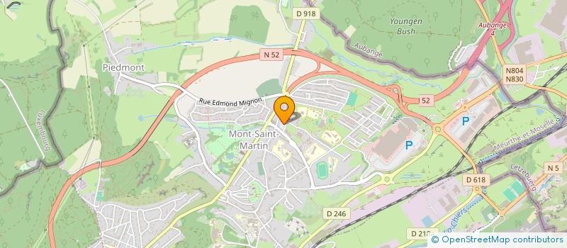 localisation de l'entreprise LES BLEUETS II  MONT-SAINT-MARTIN