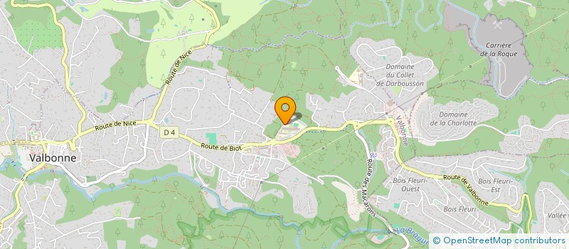 localisation de l'entreprise LES BLEUS NOMINEES  VALBONNE