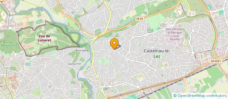 localisation de l'entreprise LES BOIS BRULES  CASTELNAU-LE-LEZ