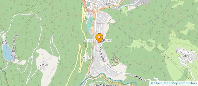 localisation de l'entreprise LES BOIS DE CARROS  SALINS-FONTAINE