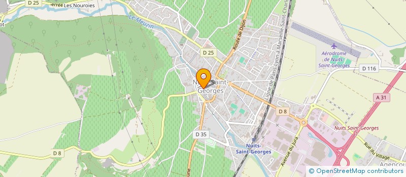 localisation de l'entreprise LES BONS CONSORTS à NUITS-SAINT-GEORGES