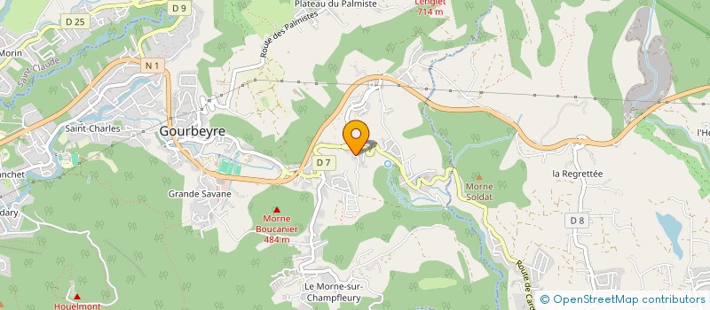 localisation de l'entreprise LES BONS ENFANTS  GOURBEYRE