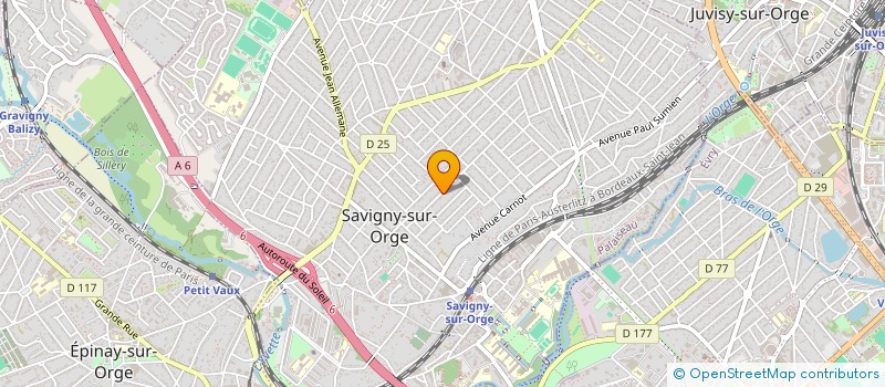 localisation de l'entreprise LES BONS ENFANTS  SAVIGNY-SUR-ORGE