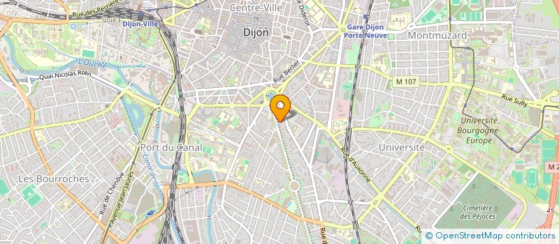 localisation de l'entreprise LES BOUBOUS à DIJON