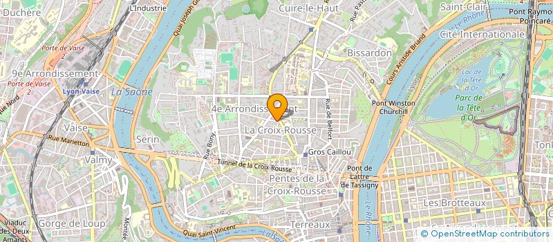 localisation de l'entreprise LES BOUDDHAS DU BONHEUR  LYON