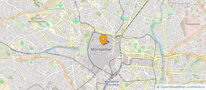 localisation de l'entreprise LES BOUDEUSES à MONTPELLIER
