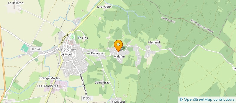 localisation de l'entreprise LES BOULEAUX à AMBRONAY