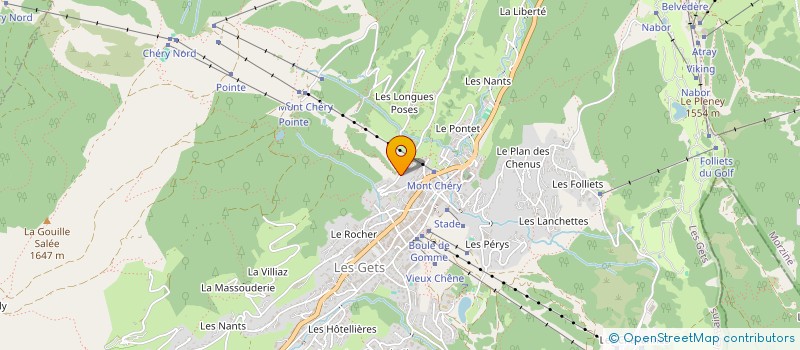 localisation de l'entreprise LES BOURNEAUX  LES GETS