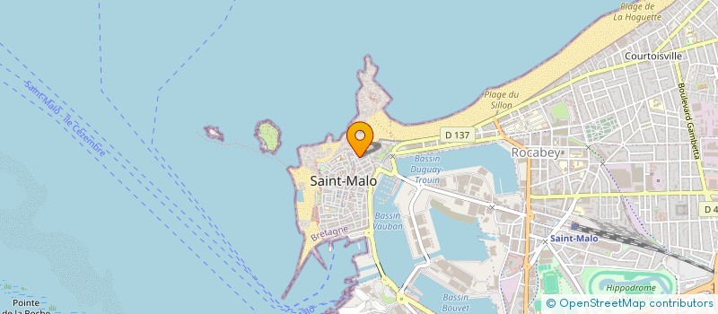 localisation de l'entreprise LES BRASSINS DE SAINT MALO  SAINT-MALO