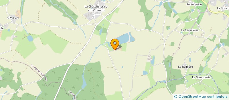localisation de l'entreprise LES BRAUDIERES à CHANTONNAY