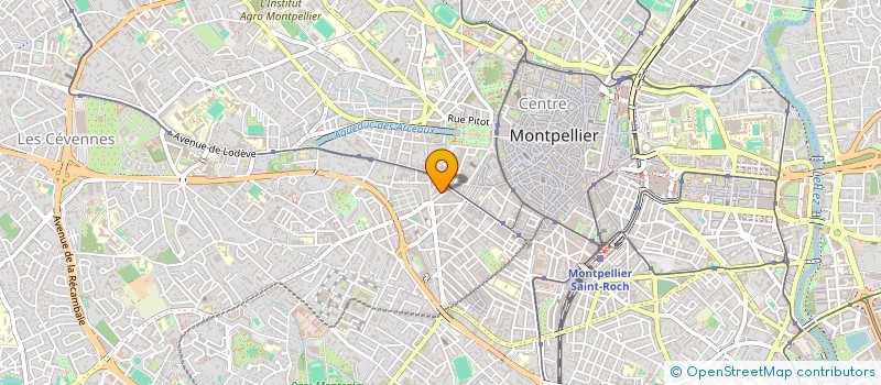 localisation de l'entreprise LES BREGINES à MONTPELLIER